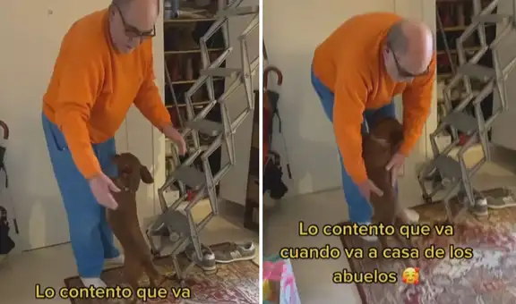 Perrito se emociona cada vez que visita a su ‘abuelo humano’ y salta para abrazarlo