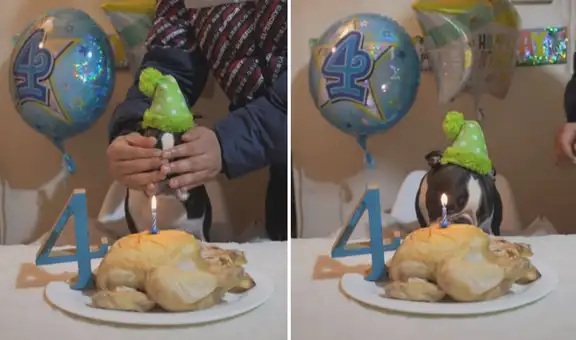 Sorprende a su perrito por su cumpleaños y le regala un pollo entero para él solo 