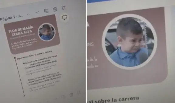 Joven se da cuenta que puso un meme en la foto de su CV y así lo estuvo enviando