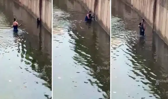 Perro aúlla para alertar a una mujer que su amigo estaba en peligro de morir ahogado