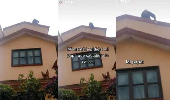 Le piden que limpie su casa y se sube hasta el techo para cumplir con la orden