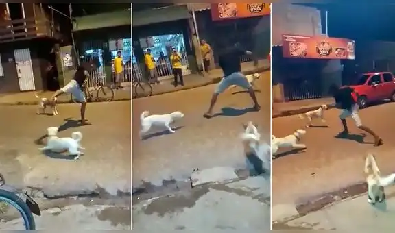 Joven pone en práctica movimientos ninjas para defenderse de unos perros que lo rodean