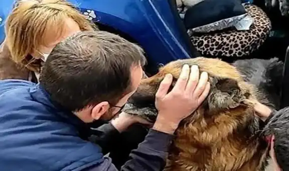 El conmovedor reencuentro de una familia y su perro después de 6 años perdido