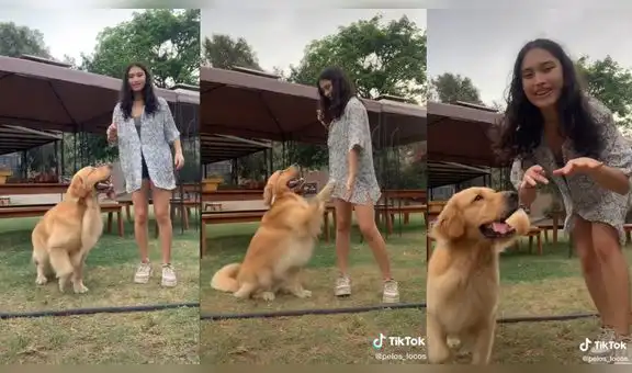 Hace un nuevo trend de TikTok y su perrito termina siguiendo su coreografía