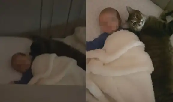 Busca a su gato por toda la casa y descubre que este se fue a dormir al lado de su bebé