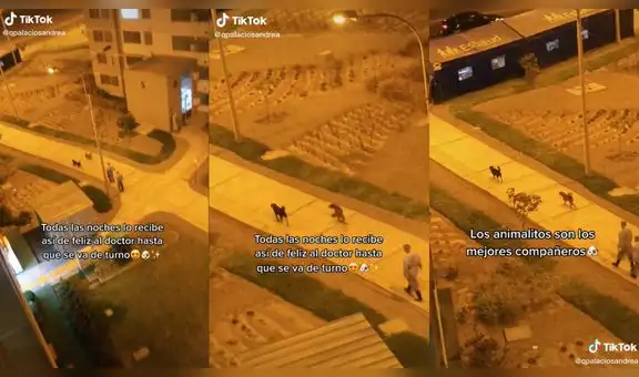Perrito se da vueltas como muestra de alegría al recibir a doctores que trabajan de noche