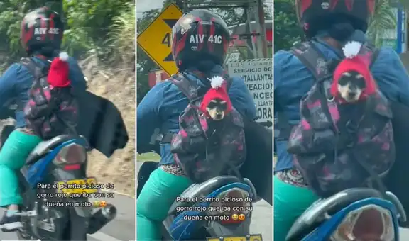 Joven decide llevar a su perrito en moto para no dejarlo solo en casa