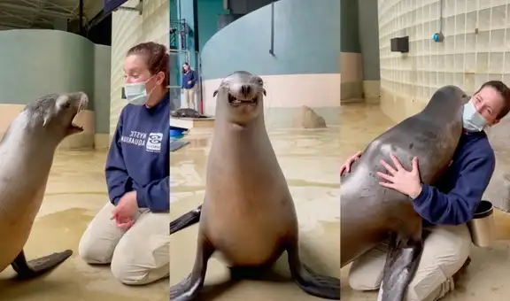 Leona marina abraza de manera tierna a su entrenadora para expresarle su amor