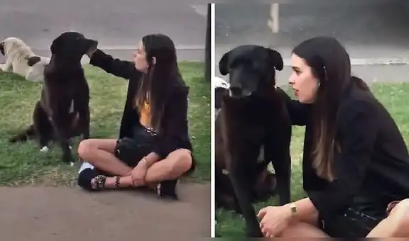 Joven habla con perrito callejero sobre su vida y sus amigos graban el singular momento