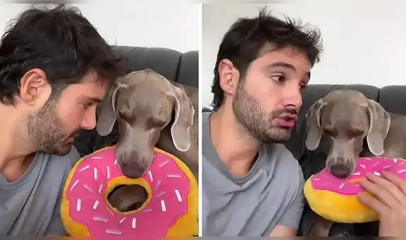 Le pone horario a su perro para jugar y lo regaña por no dejarle hablar mientras le explica