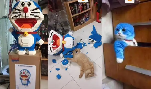 Gatito destruye el Lego de Doraemon de su dueño y este lo ‘castiga’ de una forma curiosa
