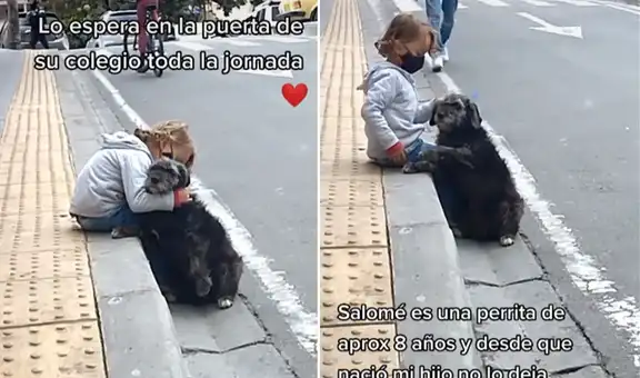 Perrita callejera es la fiel compañera de un niño y lo ‘cuida’ desde que nació