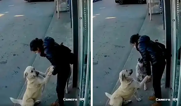 Joven detiene sus labores para acariciar a perritos callejeros que se le acercan