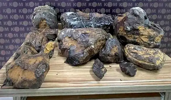 Detienen a hombre que trató de vender vómito de ballena valorizado en más de US$ 730.000