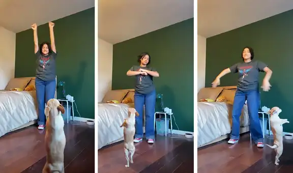 Perrito muestra singular baile al ritmo de reguetón junto a su dueña y este se roba el show