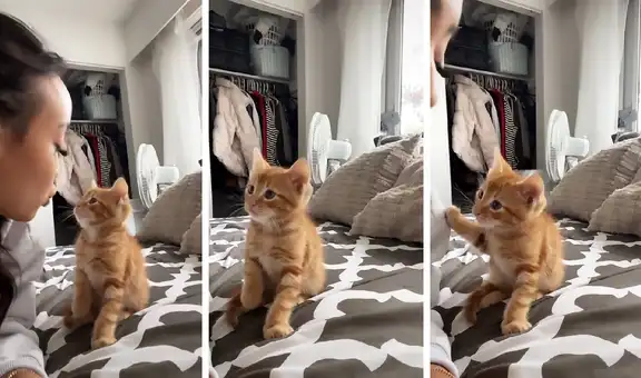 Mujer le da tierno beso a su gatito y este inmediatamente le ‘pide’ otro con su pata