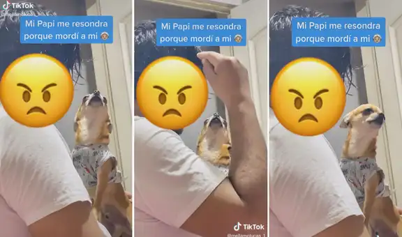 Joven regaña a su perro por morder a su abuela y este se muestra ‘arrepentido’ de la travesura