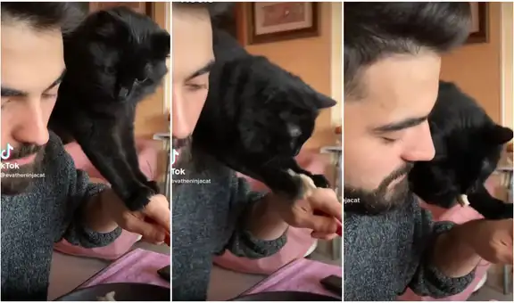 Gatito impresiona con su habilidad al ‘robar’ la comida de su dueño en tan solo segundos