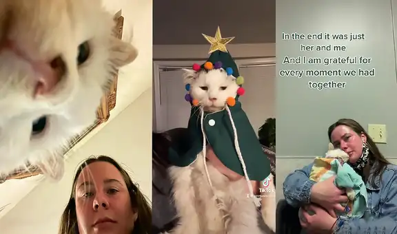 La querida gata de TikTok Pot Roast fallece a causa de un virus y miles lo lamentan