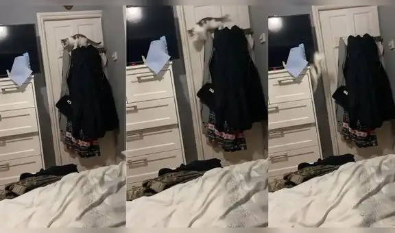 Gatito intenta dar un salto hacia el ropero, pero los cálculos no salen como lo esperaba