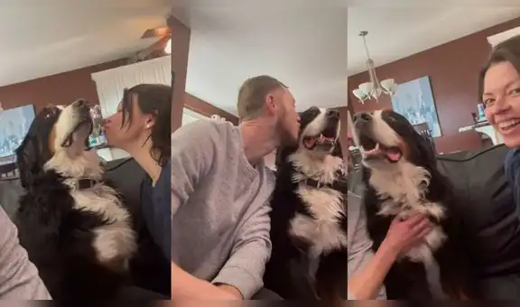 Perrito rechaza los besos que le da su cuidadora, pero acepta los de su pareja