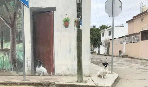 Perro se emociona al descubrir el mural que pintó su dueño en su honor y posa a su costado