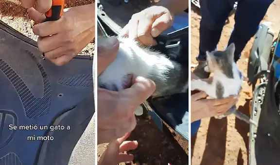 Joven quería encender su moto, pero gatito bebé estaba atrapado en el interior del vehículo