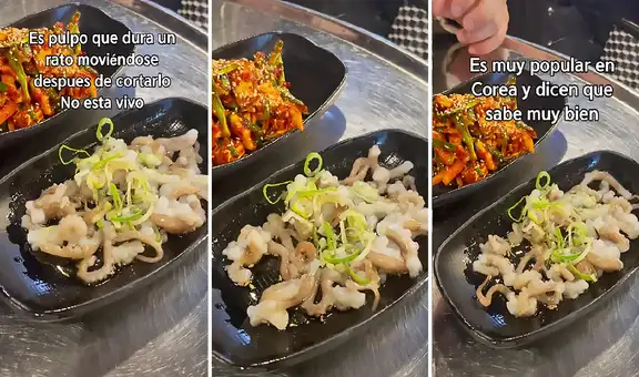 TikTok viral: plato típico de Corea causa asombro por tener trozos de pulpo que se mueven