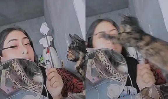TikTok viral: gato no tolera que su dueña lo ignore mientras se maquilla y tiene efusiva reacción