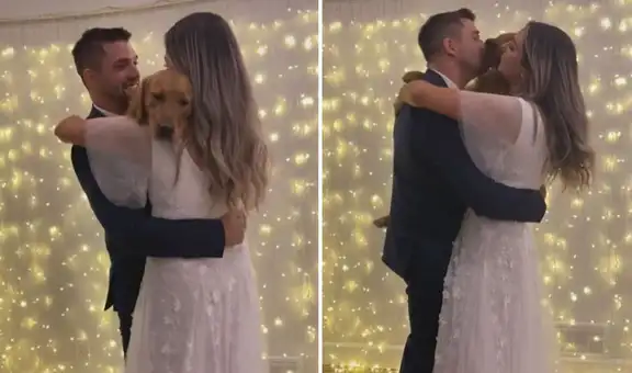 TikTok viral: novios deciden realizar el baile de su boda acompañados de su perrito y escena conmueve