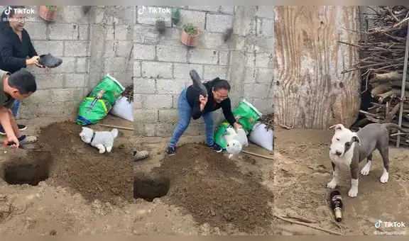 TikTok viral: usa perro de peluche para ejemplificar el ‘castigo’ que daría a su mascota por hacer travesura