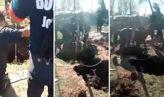 YouTube viral: policías arman operativo y se unen para rescatar a caballo que cayó a un pozo