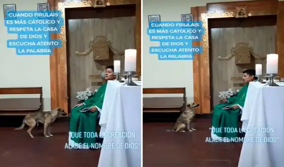 Facebook viral: perro callejero ingresa a iglesia y se sienta frente a sacerdote para escuchar la misa