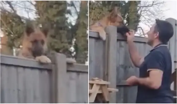 Hombre es captado compartiendo gratos momentos con el perrito de su vecino