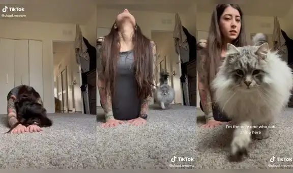 Conocida tiktoker se prepara para hacer ejercicios, pero su gata la interrumpe