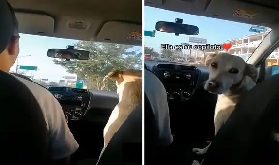 Padre lleva todos los días a su hija hasta su trabajo y su perrita les hace compañía