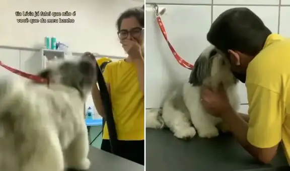 Perrito se vuelve el ‘mejor amigo’ de trabajador en veterinaria y solo deja que él lo bañe