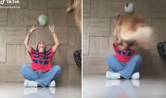 Cachorro se ‘alegra’ al ver que su dueña le tira una pelota y salta sobre ella para divertirse