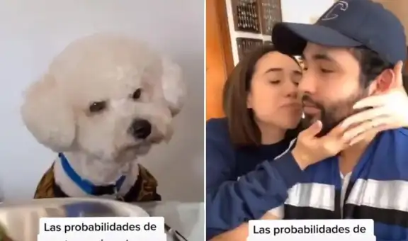 Perrito se pone ‘celoso’ al ver que su dueña prefiere abrazar a su novio y no a él