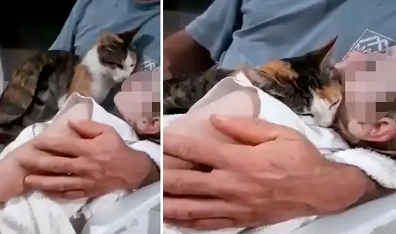 Gato ve que la hija de sus dueños está dormida y se acurruca a su lado para protegerla
