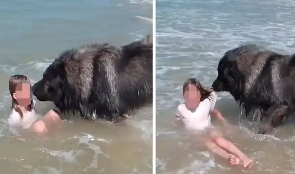 Perro ‘rescata’ a niña al pensar que estaba en peligro y conquista a miles en YouTube