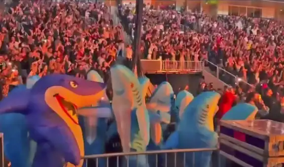 ‘Tiburones’ bailan en concierto de Bad Bunny y miles de usuarios se divierten en TikTok