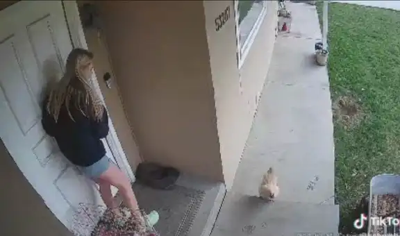Joven se asusta al ser perseguida por una gallina y su reacción se vuelve viral en TikTok 