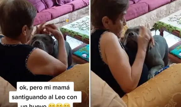 Joven llega a casa y descubre a su mamá pasándole el huevo a su perrito mientras lo bendice