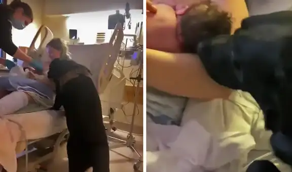 Perrito está presente en labor de parto de su dueña y miles quedan sorprendidos en YouTube