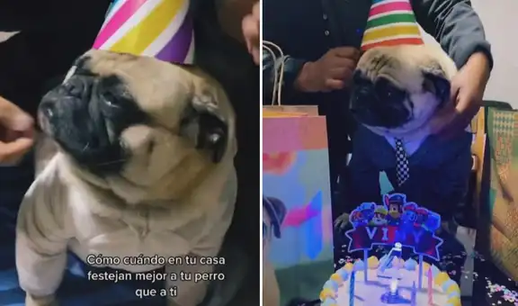 Celebran el cumpleaños de su perrito y le preparan parrilla y torta especial para engreírlo