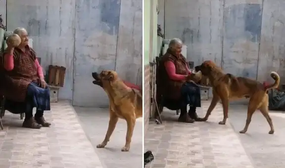Abuelita cautiva a miles en TikTok al jugar a la pelota con su perrito