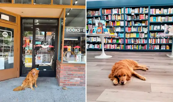 Familia pone el nombre de su perrita a su nueva librería y la convierten en gerente   