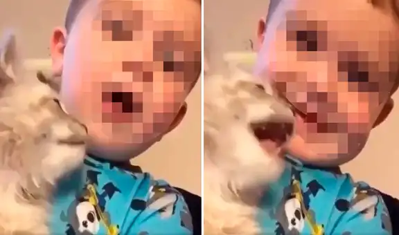 Bebé ‘enseña’ a su pequeño gato a maullar por primera vez y enternecen en YouTube 