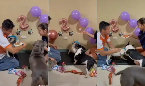Perrito festeja su cumpleaños, pero celebración termina en pelea ‘perruna’